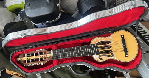 Charango y2k 2000 model - charango,
